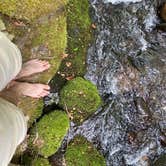 Review photo of Big Creek Campground — Great Smoky Mountains National Park by Asher K., October 1, 2023