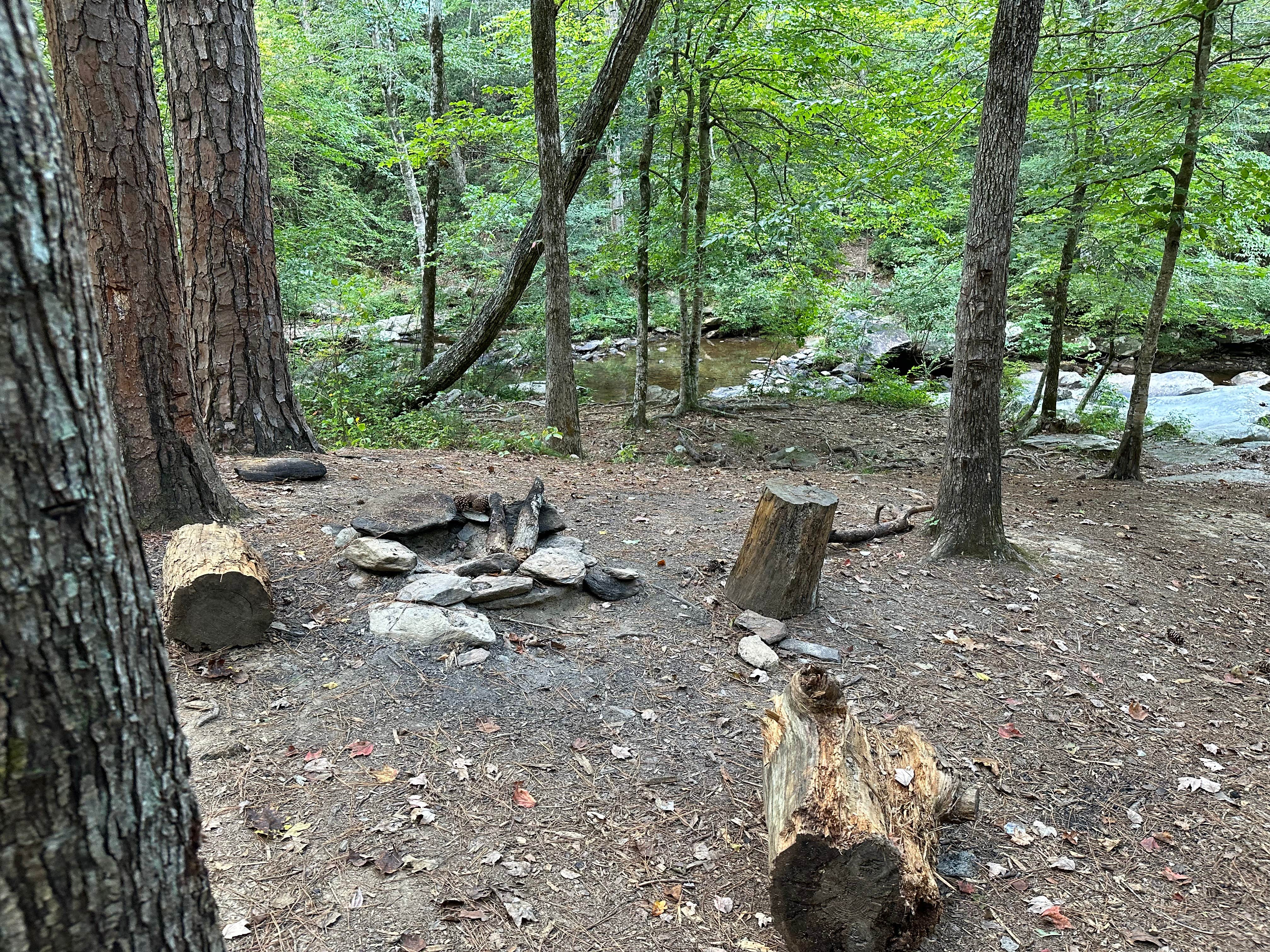 Camper-submitted photo at Skyway Loop Backcountry Site Near Chinnabee near Columbiana, AL