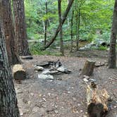 Review photo of Skyway Loop Backcountry Site Near Chinnabee by Asher K., October 1, 2023