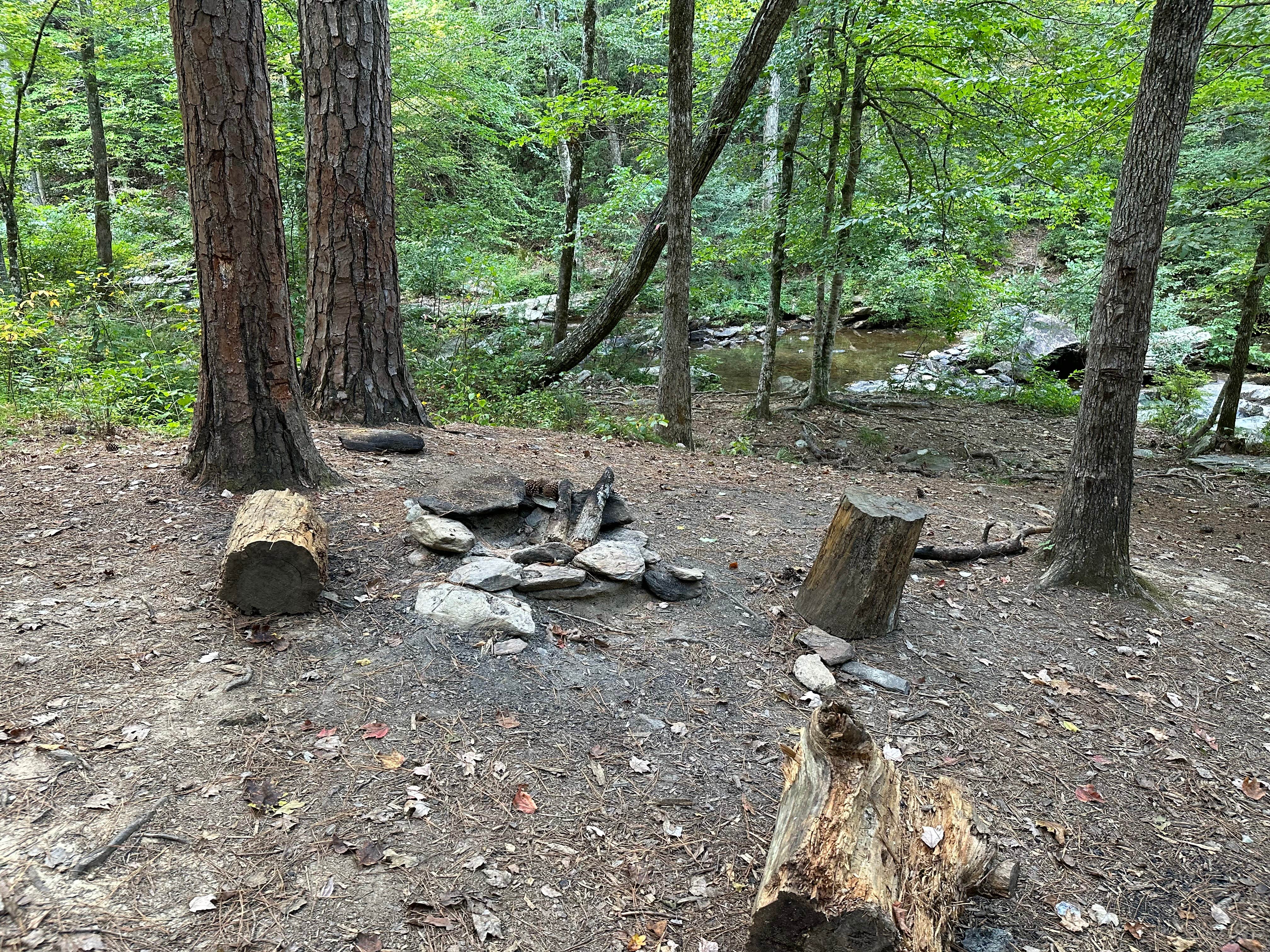 Camper-submitted photo at Skyway Loop Backcountry Site Near Chinnabee near Columbiana, AL