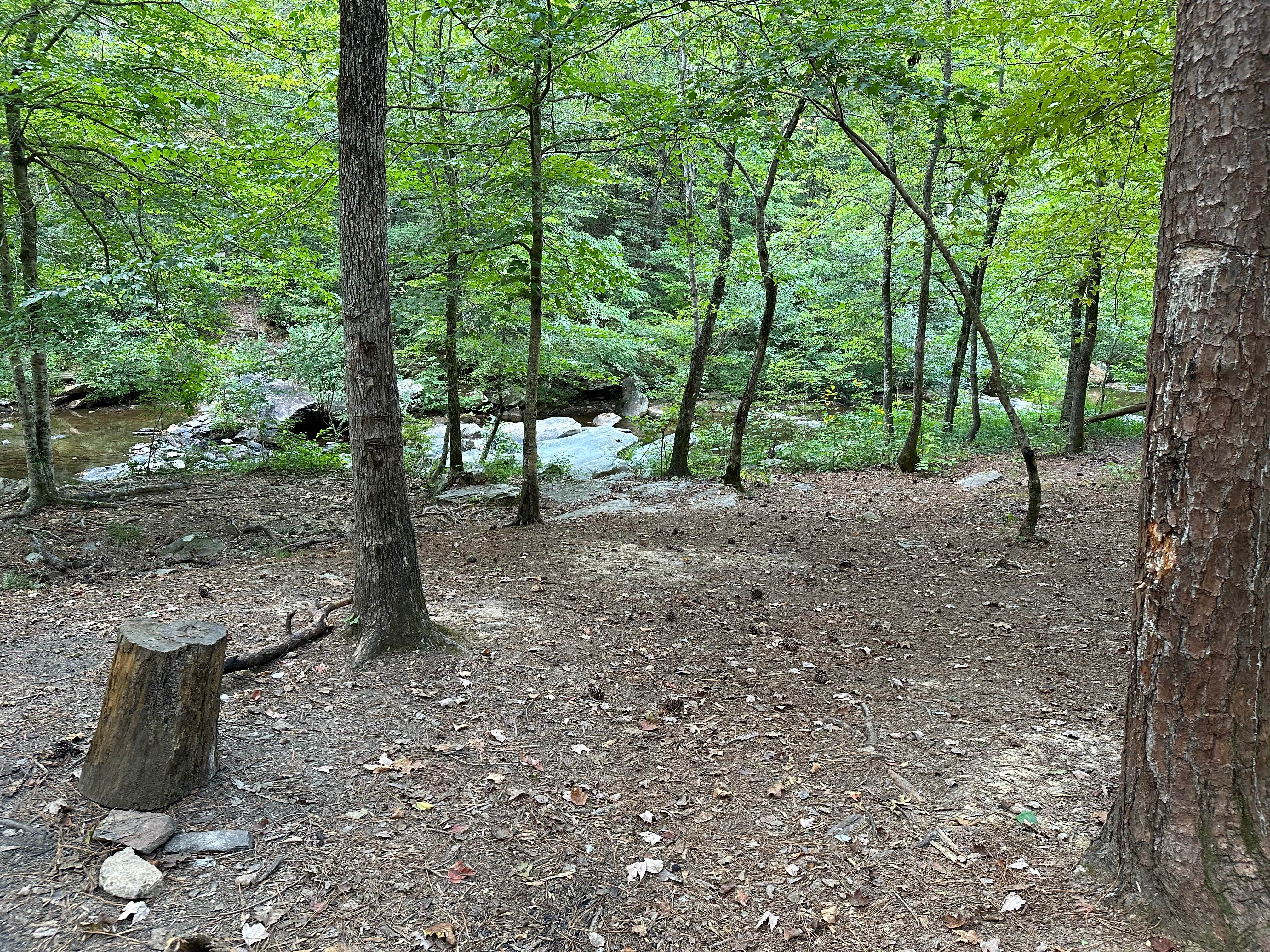 Camper-submitted photo at Skyway Loop Backcountry Site Near Chinnabee near Columbiana, AL