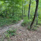 Review photo of Skyway Loop Backcountry Site Near Chinnabee by Asher K., October 1, 2023