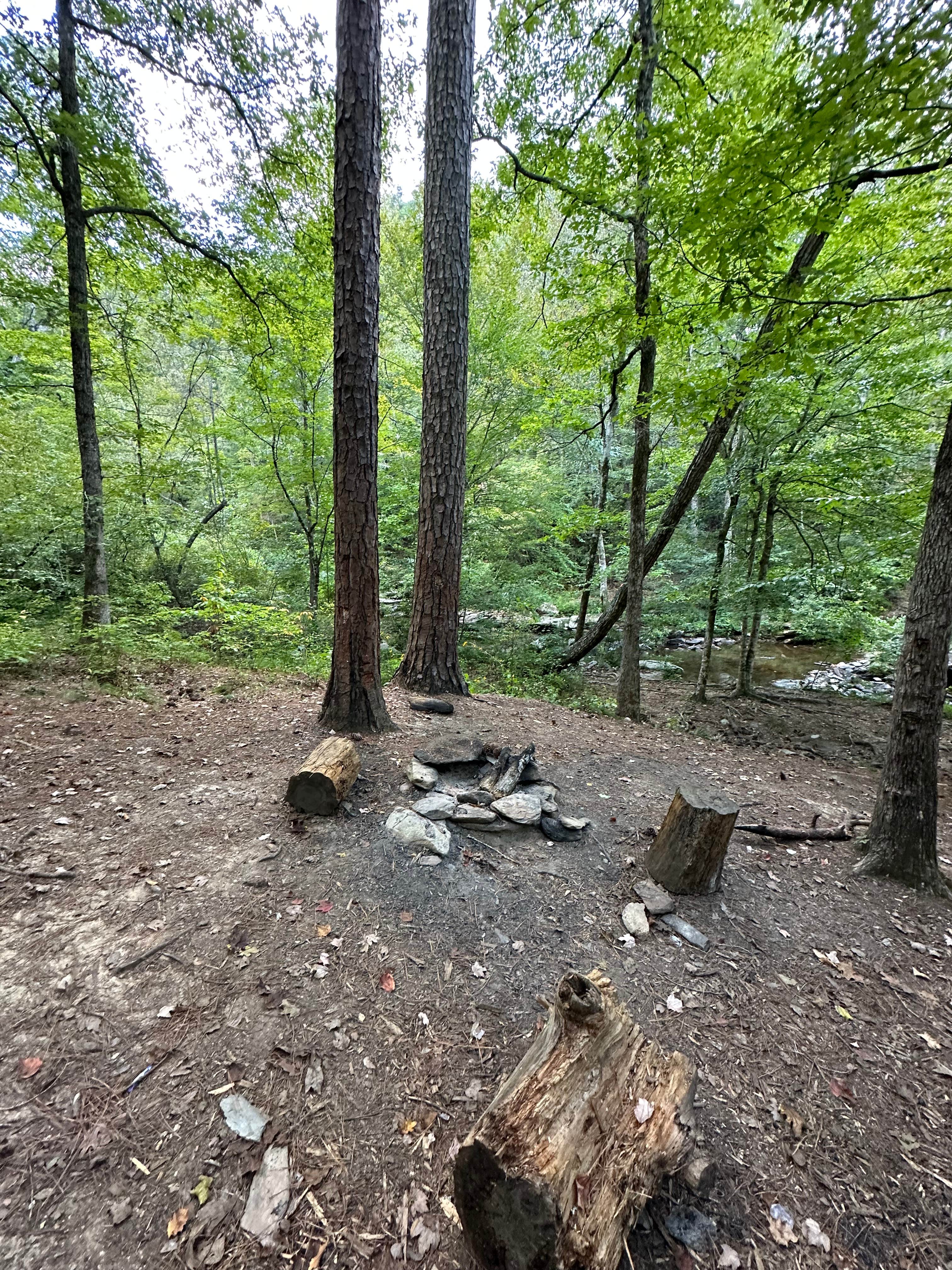 Camper-submitted photo at Skyway Loop Backcountry Site Near Chinnabee near Columbiana, AL