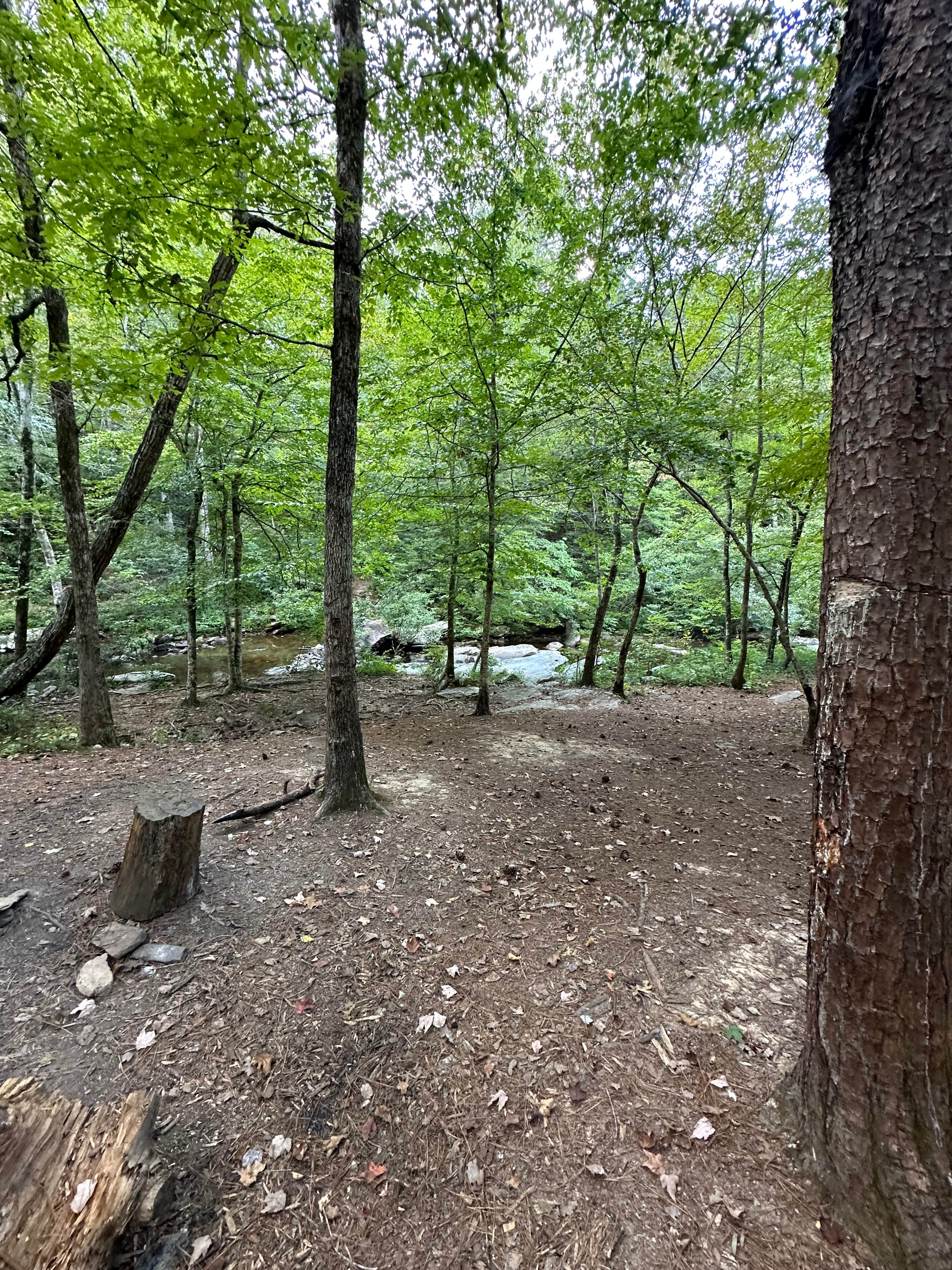 Camper submitted image from Skyway Loop Backcountry Site Near Chinnabee - 1