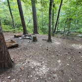 Review photo of Skyway Loop Backcountry Site Near Chinnabee by Asher K., October 1, 2023