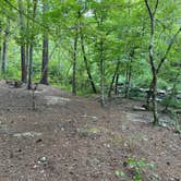 Review photo of Skyway Loop Backcountry Site Near Chinnabee by Asher K., October 1, 2023