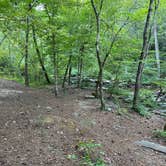 Review photo of Skyway Loop Backcountry Site Near Chinnabee by Asher K., October 1, 2023