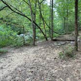 Review photo of Skyway Loop Backcountry Site Near Chinnabee by Asher K., October 1, 2023