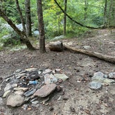 Review photo of Skyway Loop Backcountry Site Near Chinnabee by Asher K., October 1, 2023