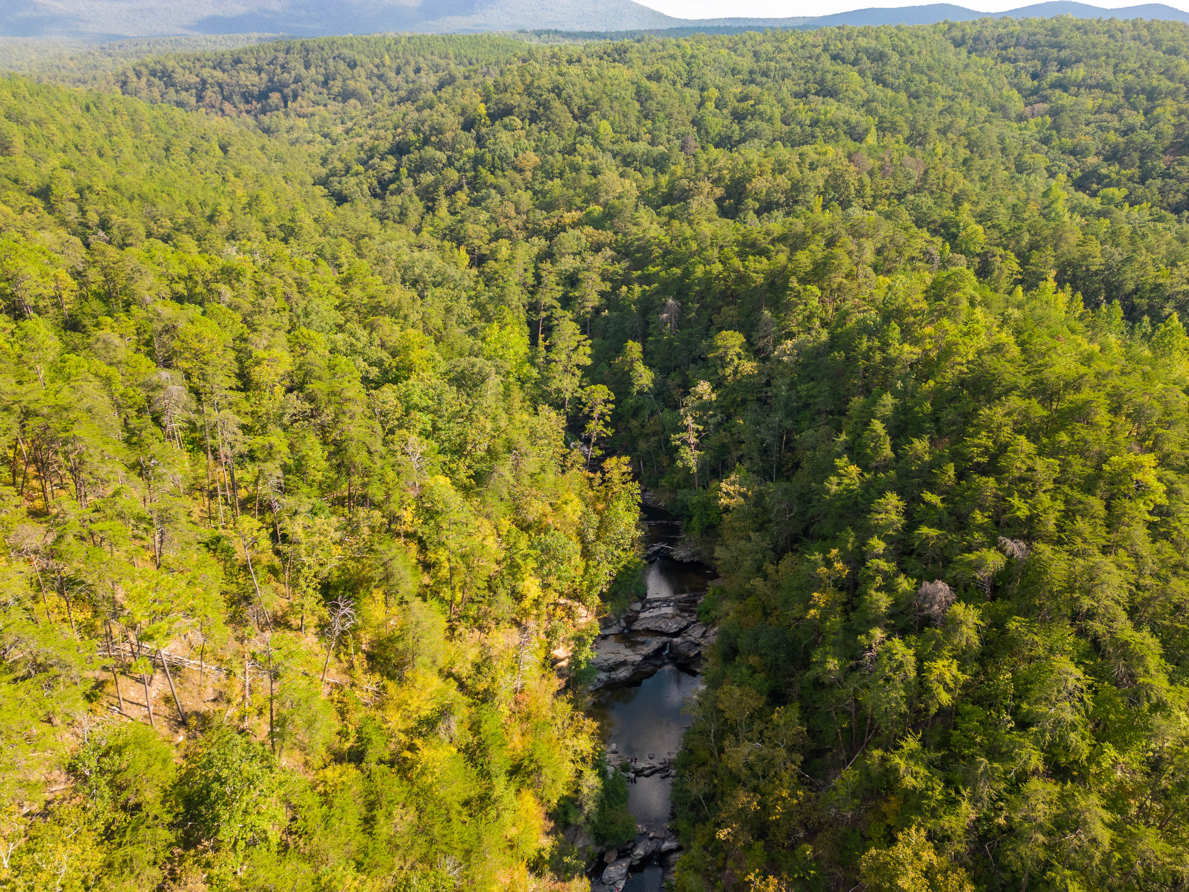 Skyway Loop Backcountry Site Near Chinnabee