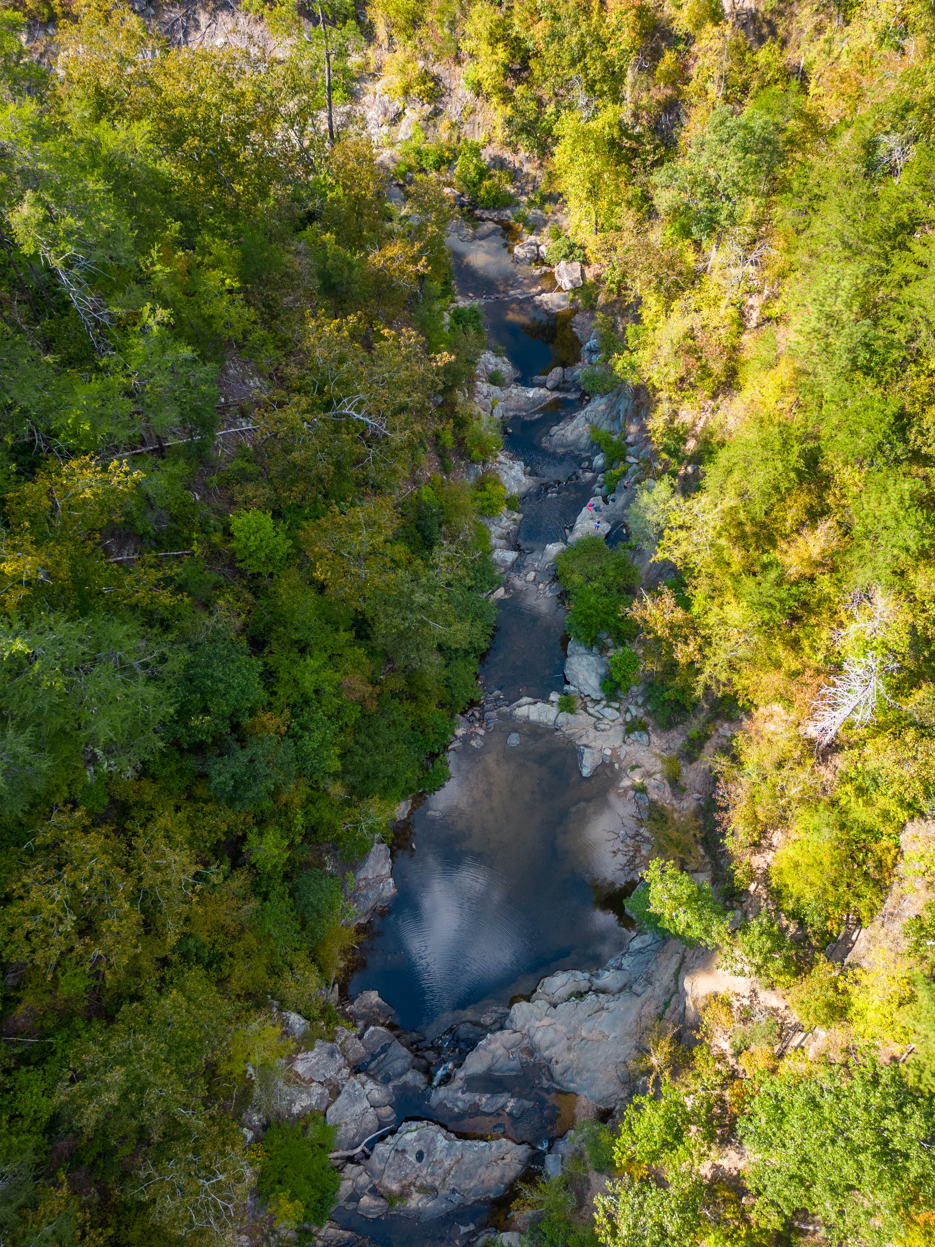 Skyway Loop Backcountry Site Near Chinnabee
