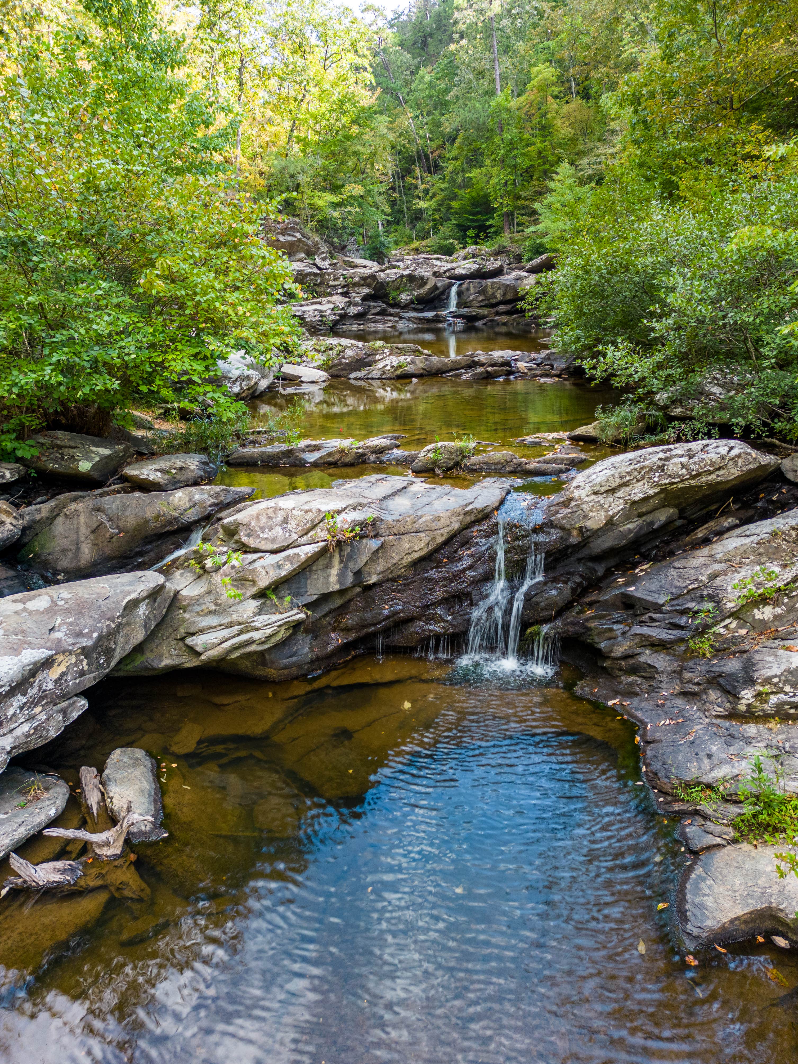 Camper-submitted photo at Skyway Loop Backcountry Site Near Chinnabee near Columbiana, AL