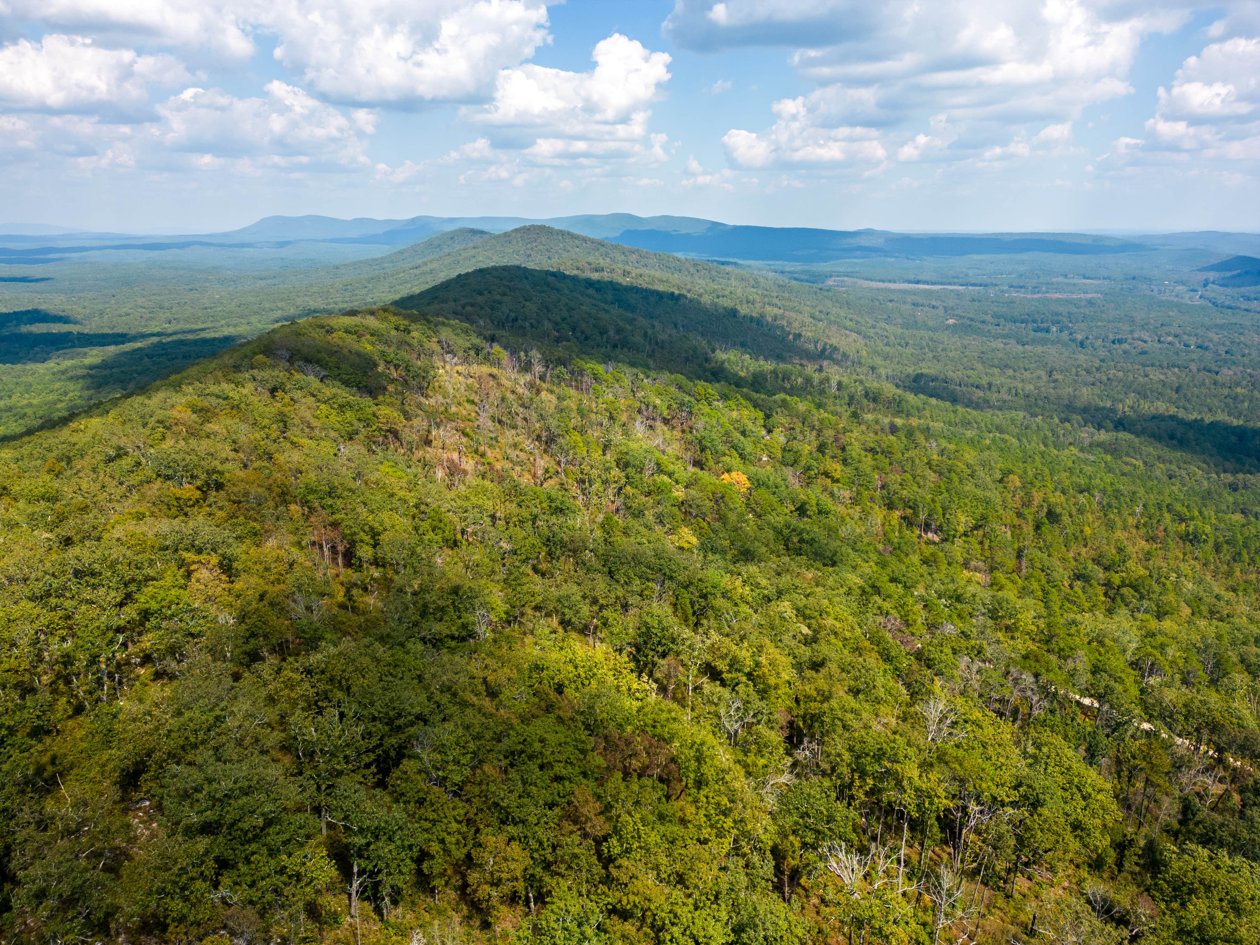 Camper submitted image from Pinhoti Campsite near Clairmont Gap - 2