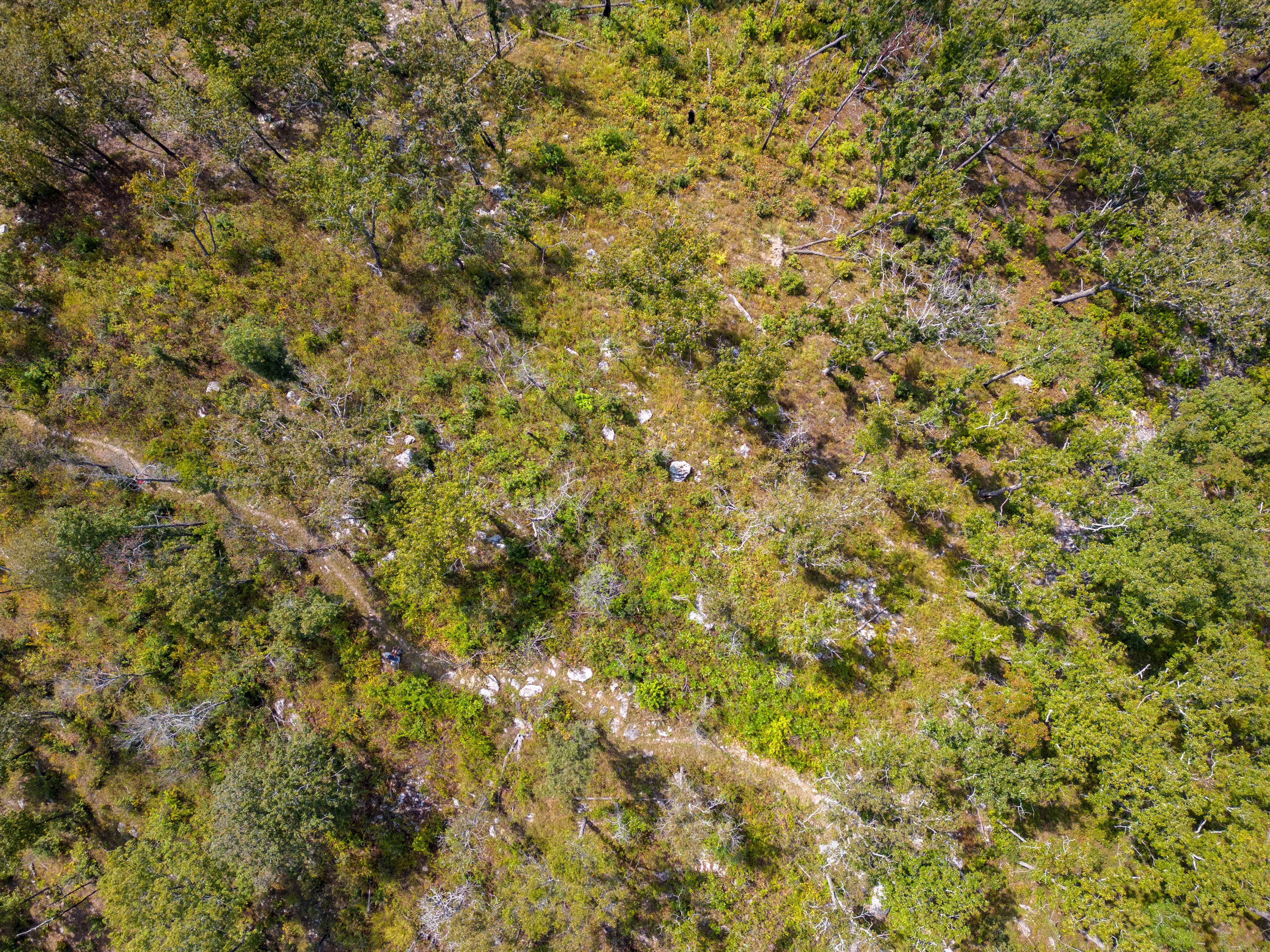 Camper-submitted photo at Pinhoti Campsite near Clairmont Gap near Pelham, AL