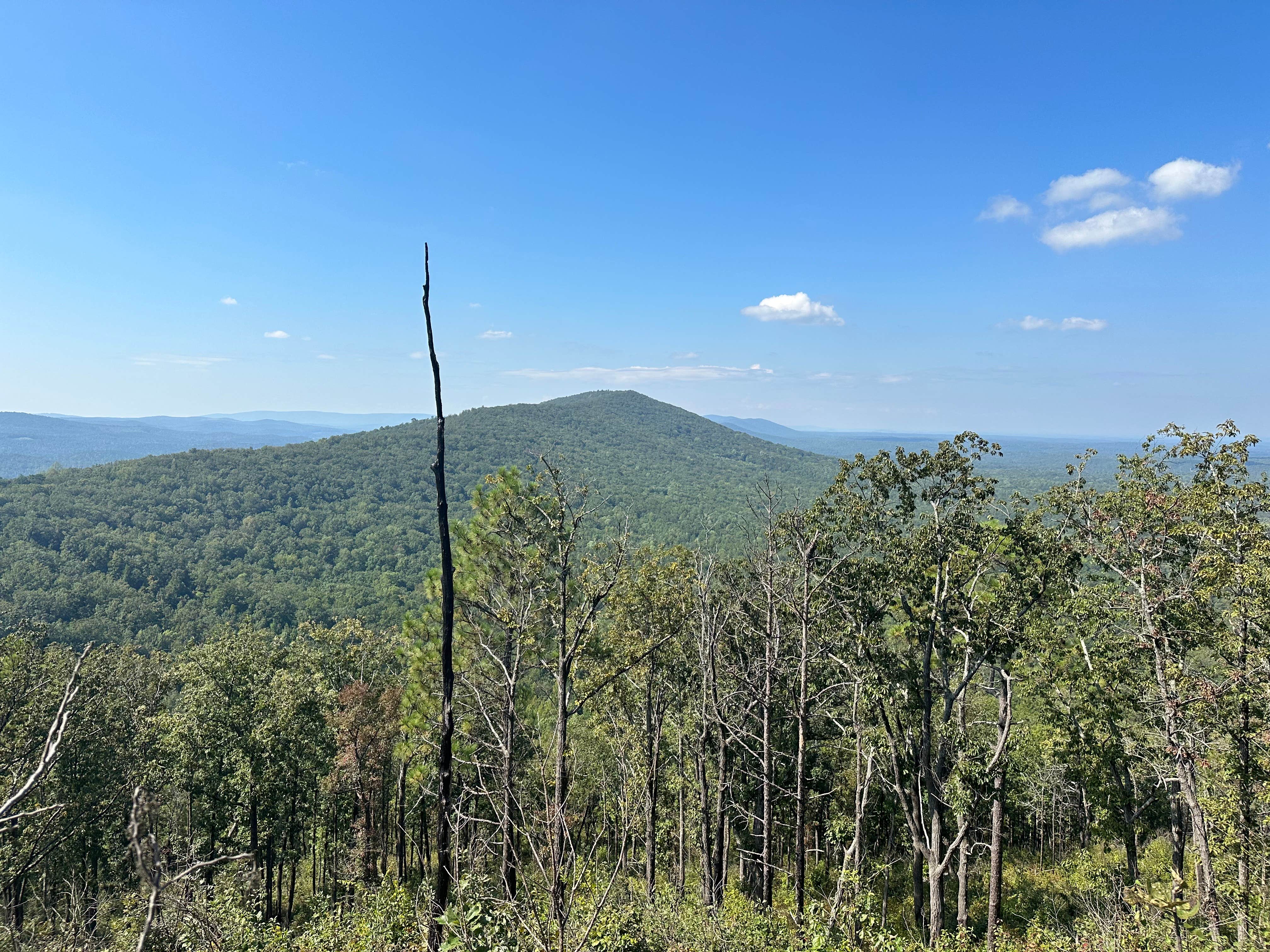 Camper-submitted photo at Pinhoti Campsite near Clairmont Gap near Pelham, AL