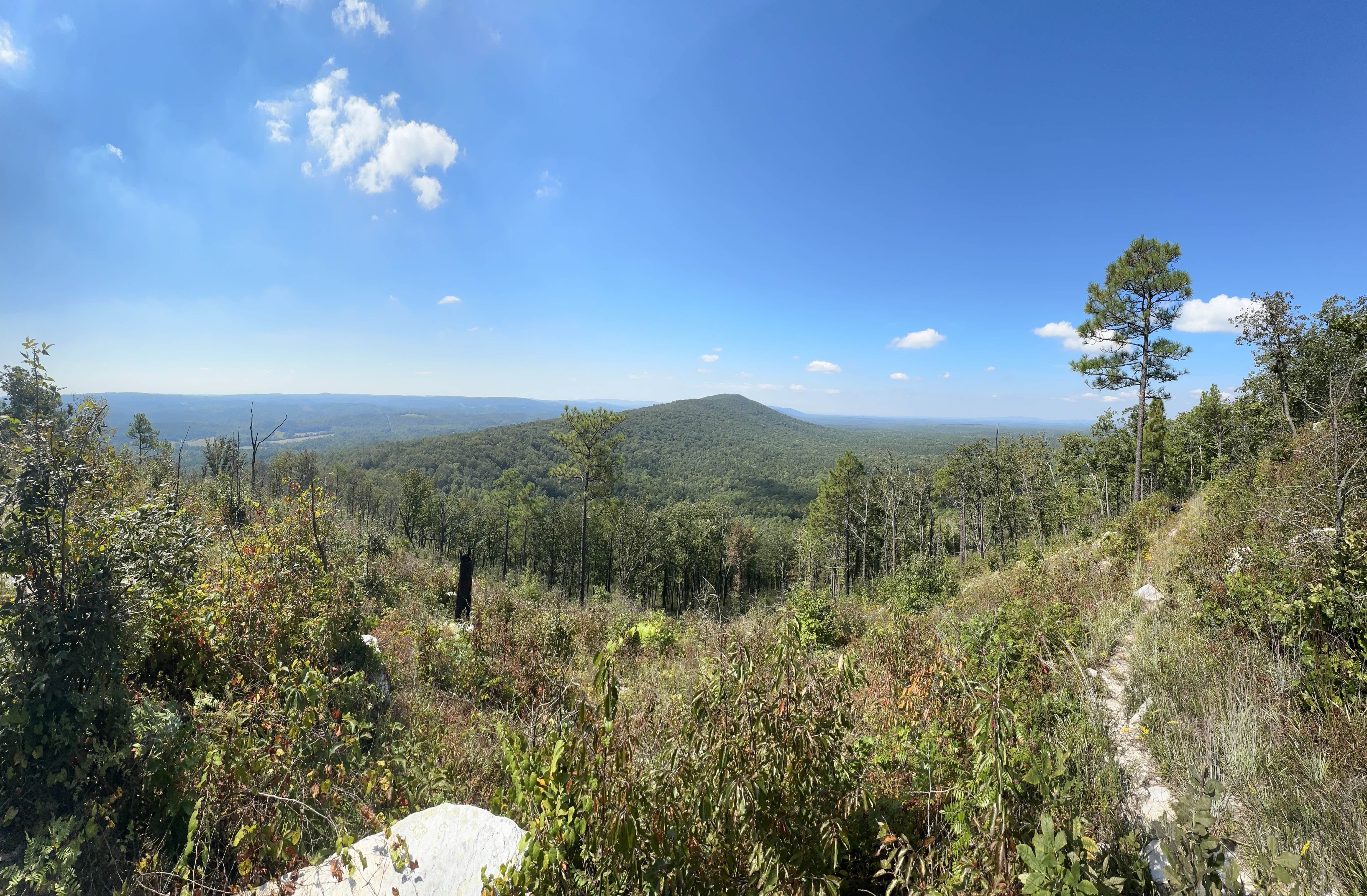 Camper-submitted photo at Pinhoti Campsite near Clairmont Gap near Pelham, AL