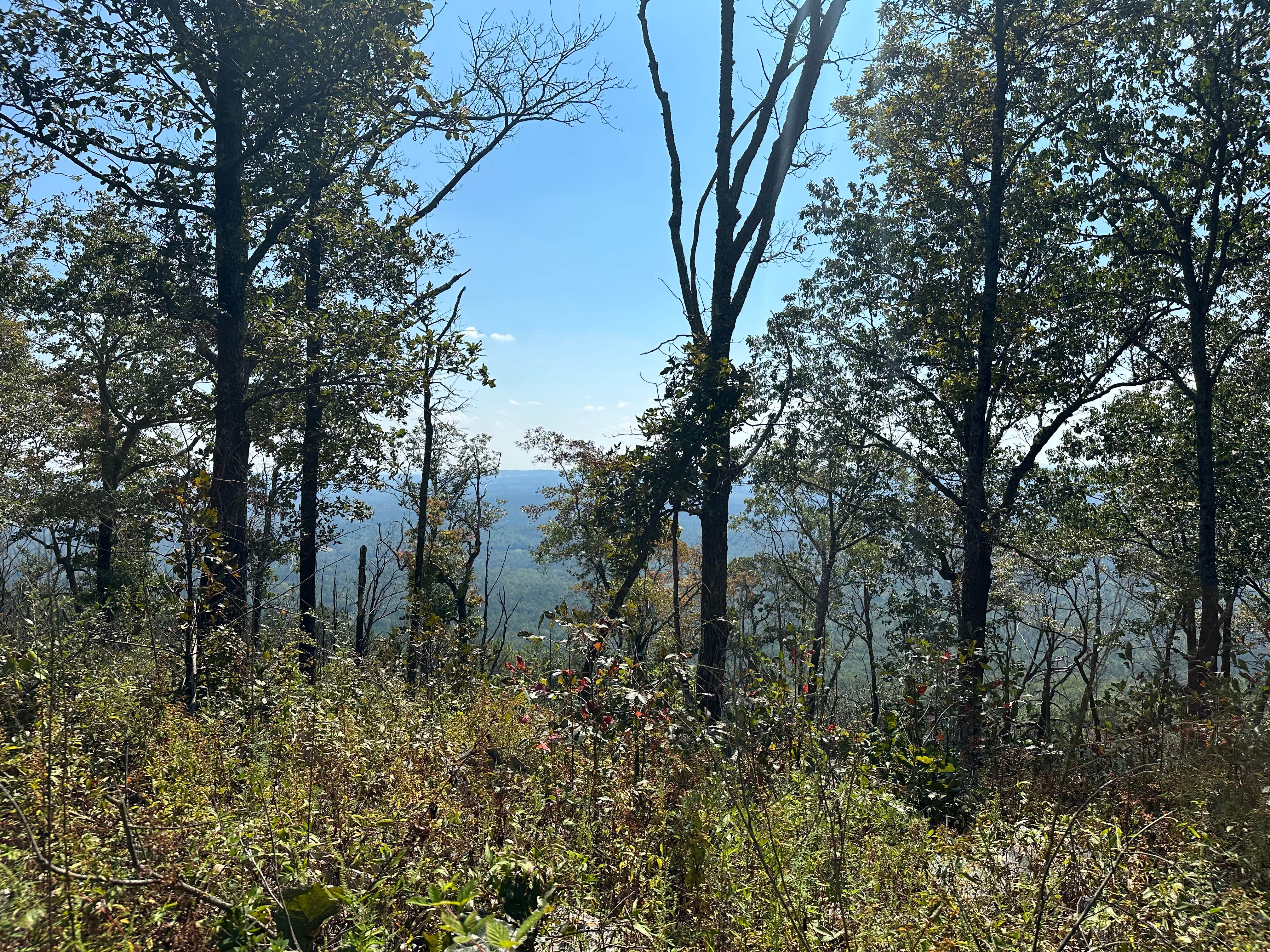 Camper-submitted photo at Pinhoti Campsite near Clairmont Gap near Pelham, AL