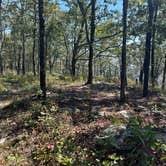 Review photo of Pinhoti Campsite near Clairmont Gap by Asher K., October 1, 2023