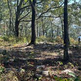 Review photo of Pinhoti Campsite near Clairmont Gap by Asher K., October 1, 2023