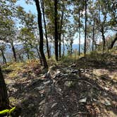 Review photo of Pinhoti Campsite near Clairmont Gap by Asher K., October 1, 2023