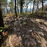 Review photo of Pinhoti Campsite near Clairmont Gap by Asher K., October 1, 2023