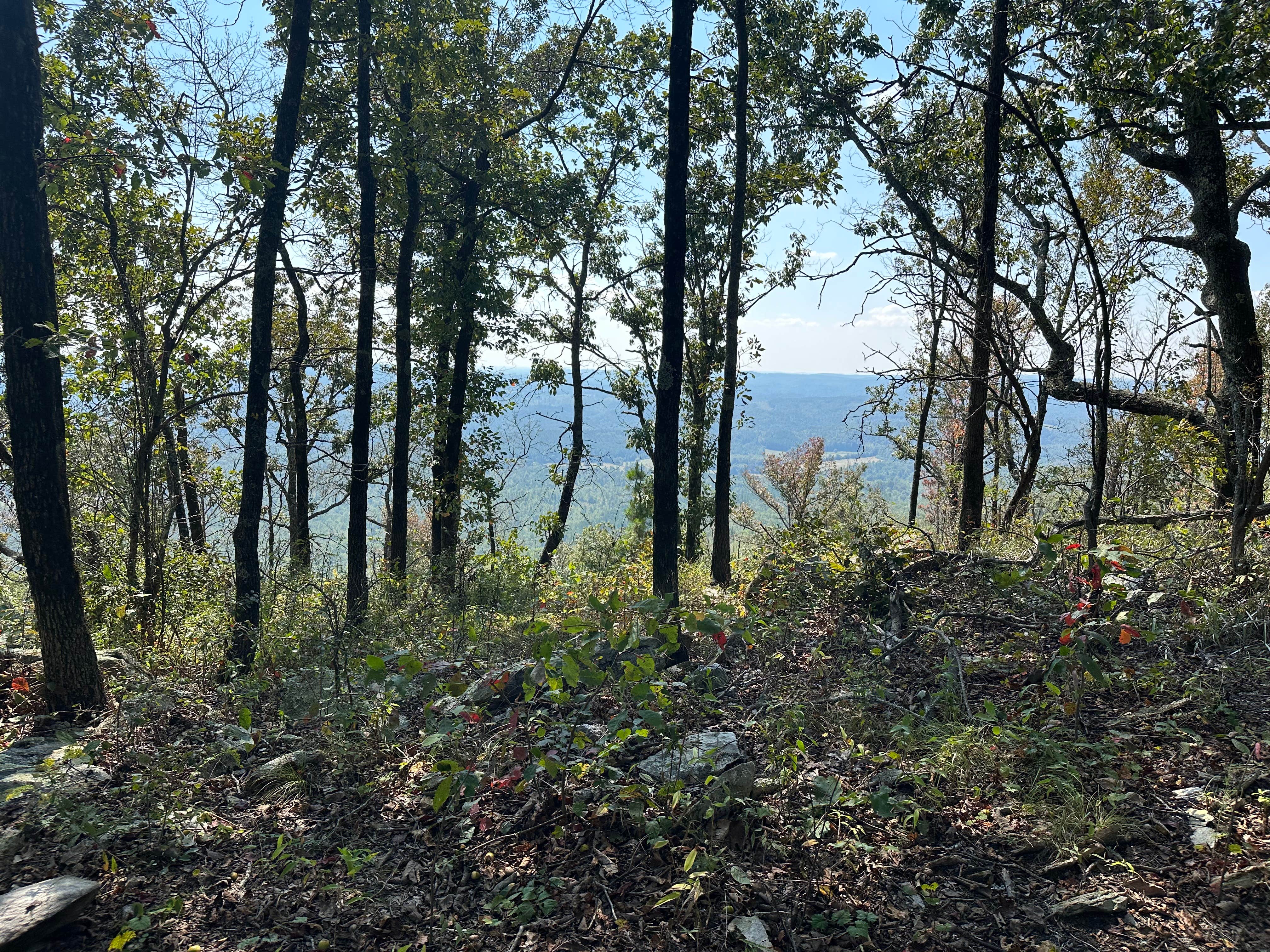 Camper-submitted photo at Pinhoti Campsite near Clairmont Gap near Pelham, AL