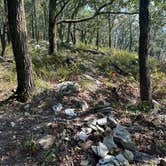 Review photo of Pinhoti Campsite near Clairmont Gap by Asher K., October 1, 2023