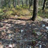 Review photo of Pinhoti Campsite near Clairmont Gap by Asher K., October 1, 2023