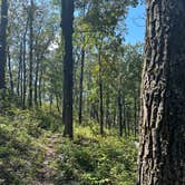 Review photo of Pinhoti Campsite near Clairmont Gap by Asher K., October 1, 2023