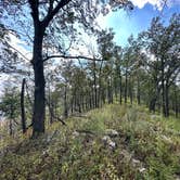 Review photo of Pinhoti Campsite near Clairmont Gap by Asher K., October 1, 2023