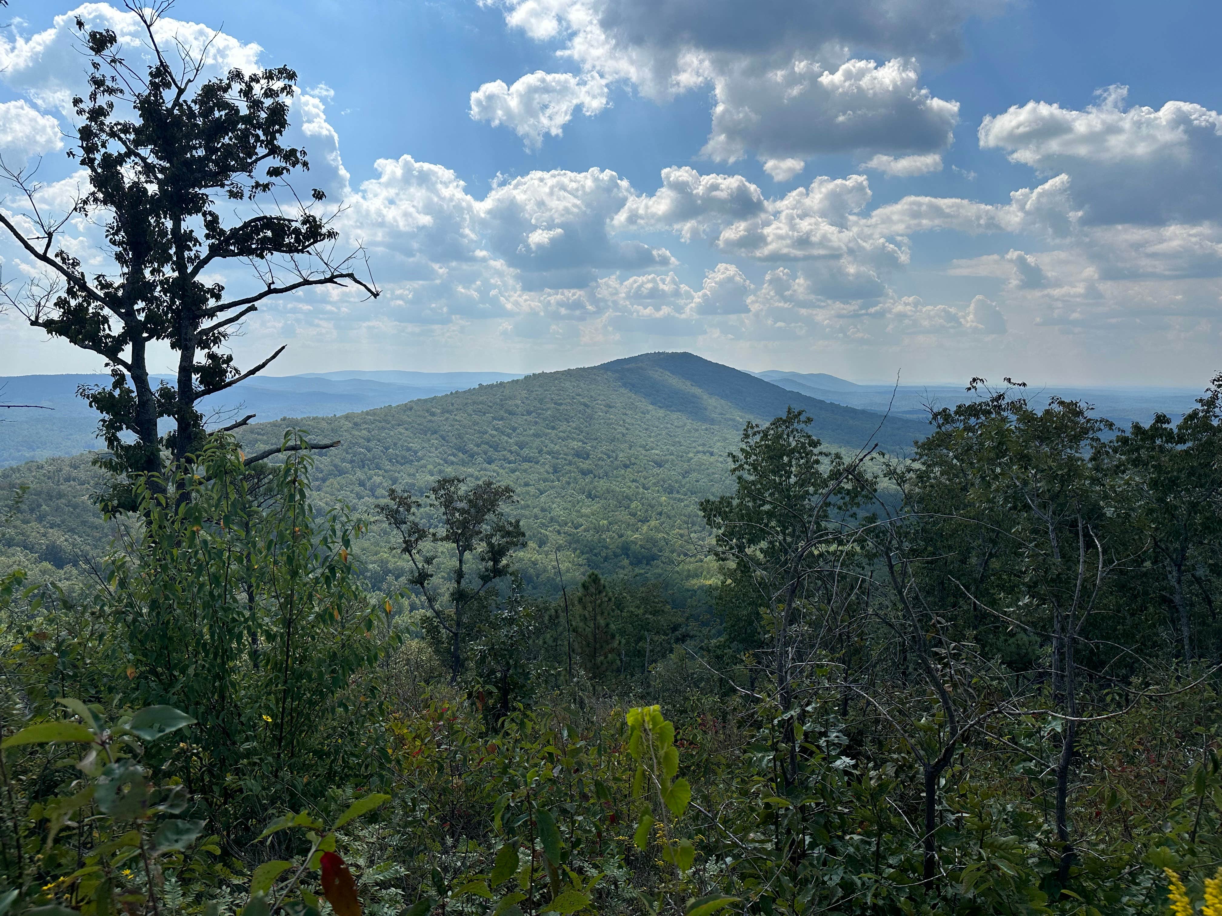 Camper submitted image from Pinhoti Campsite near Clairmont Gap - 1