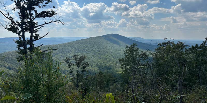 Camper submitted image from Pinhoti Campsite near Clairmont Gap