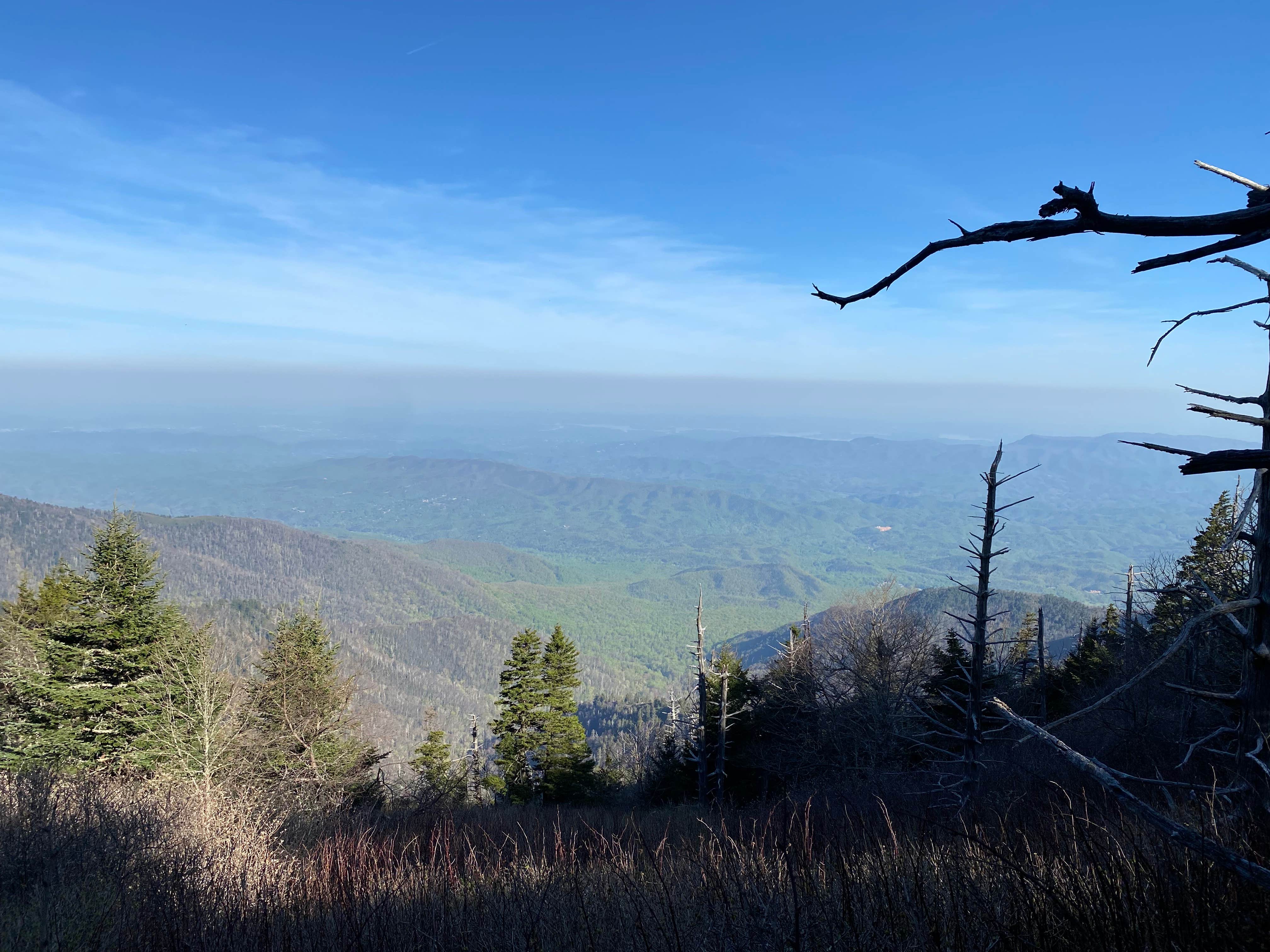 Camper submitted image from Cosby Knob Shelter - 2