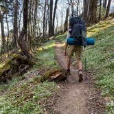 Review photo of Cosby Knob Shelter by Asher K., October 1, 2023