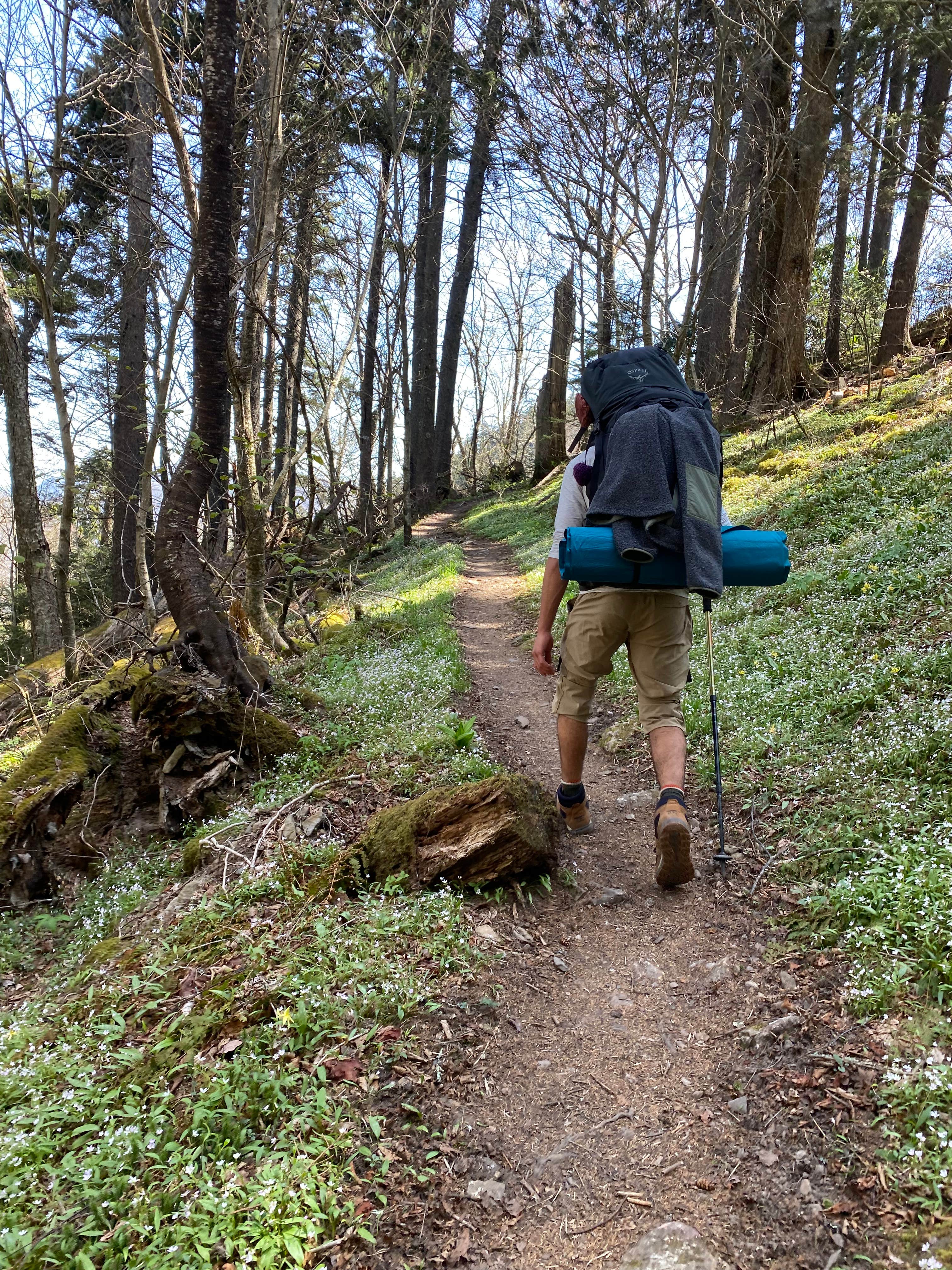 Camper submitted image from Cosby Knob Shelter - 3