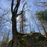 Review photo of Cosby Knob Shelter by Asher K., October 1, 2023