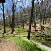 Review photo of Cosby Knob Shelter by Asher K., October 1, 2023