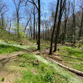 Review photo of Cosby Knob Shelter by Asher K., October 1, 2023