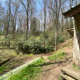 Review photo of Cosby Knob Shelter by Asher K., October 1, 2023