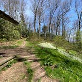 Review photo of Cosby Knob Shelter by Asher K., October 1, 2023