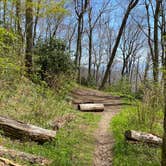 Review photo of Cosby Knob Shelter by Asher K., October 1, 2023