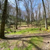 Review photo of Cosby Knob Shelter by Asher K., October 1, 2023