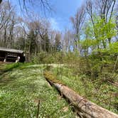 Review photo of Cosby Knob Shelter by Asher K., October 1, 2023