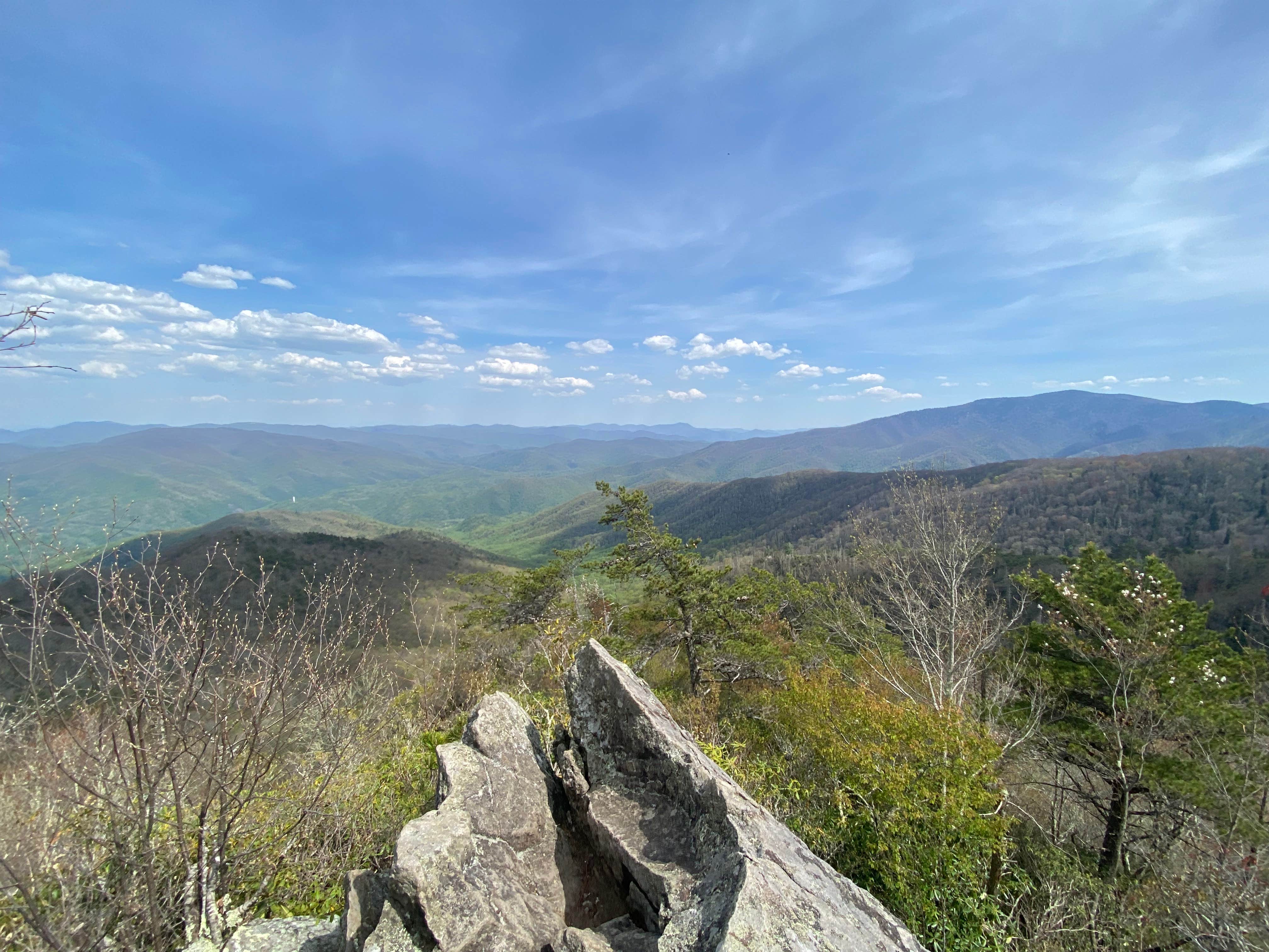 Camper submitted image from Cosby Knob Shelter - 1