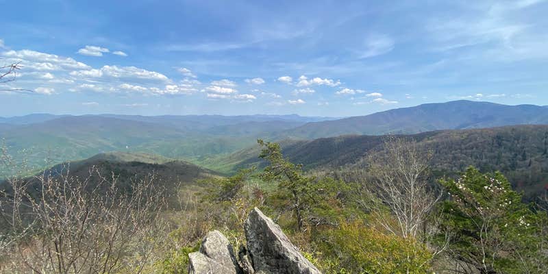 Camper submitted image from Cosby Knob Shelter on the AT