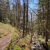 Review photo of Laurel Gap Shelter by Asher K., October 1, 2023