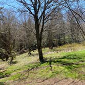 Review photo of Laurel Gap Shelter by Asher K., October 1, 2023