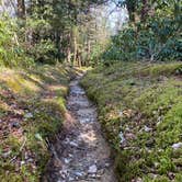 Review photo of Laurel Gap Shelter by Asher K., October 1, 2023