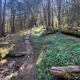 Review photo of Laurel Gap Shelter by Asher K., October 1, 2023