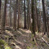 Review photo of Tricorner Knob Shelter — Great Smoky Mountains National Park by Asher K., October 1, 2023